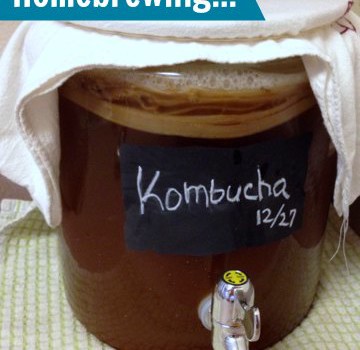 How to Make Kombucha from Nutty About Health